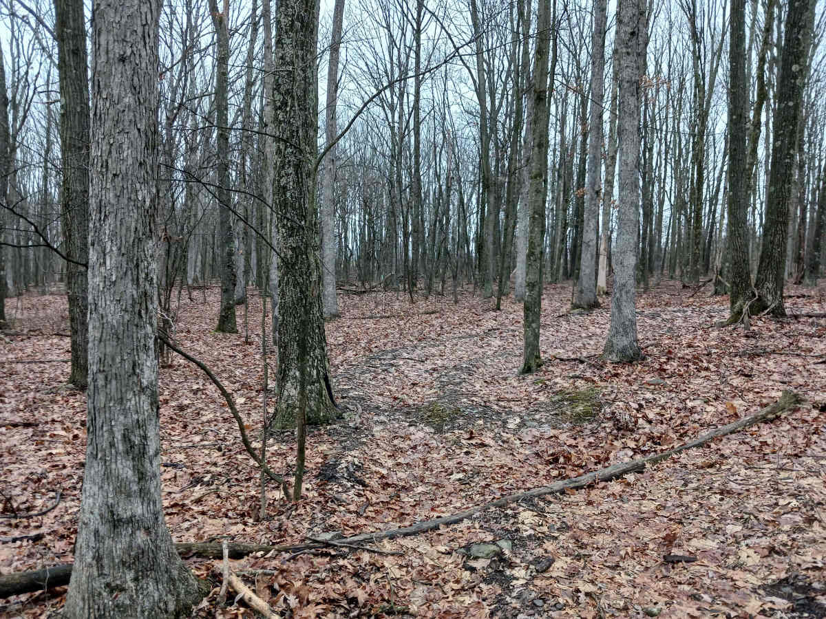 OHV 45 - Rock Run Recreation Area photo 6