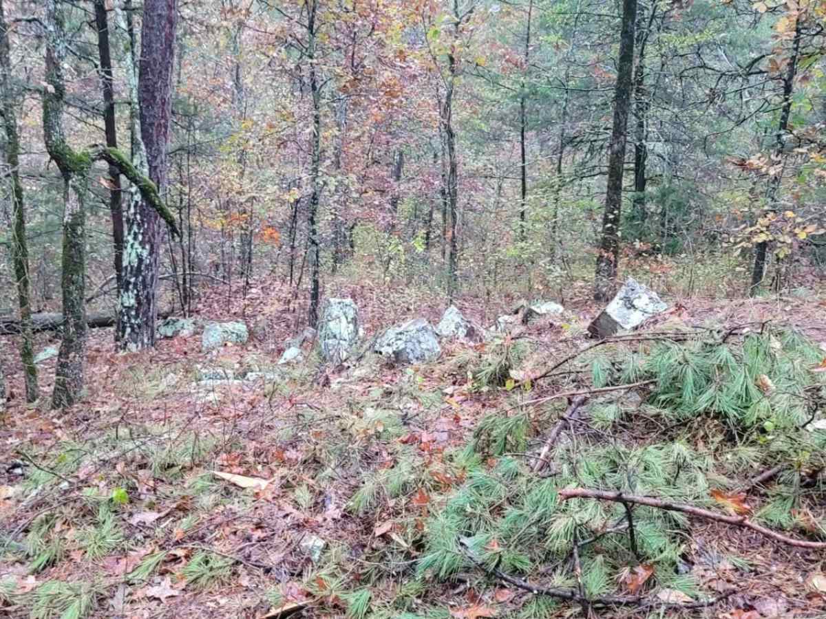 Walnut Grove photo 2