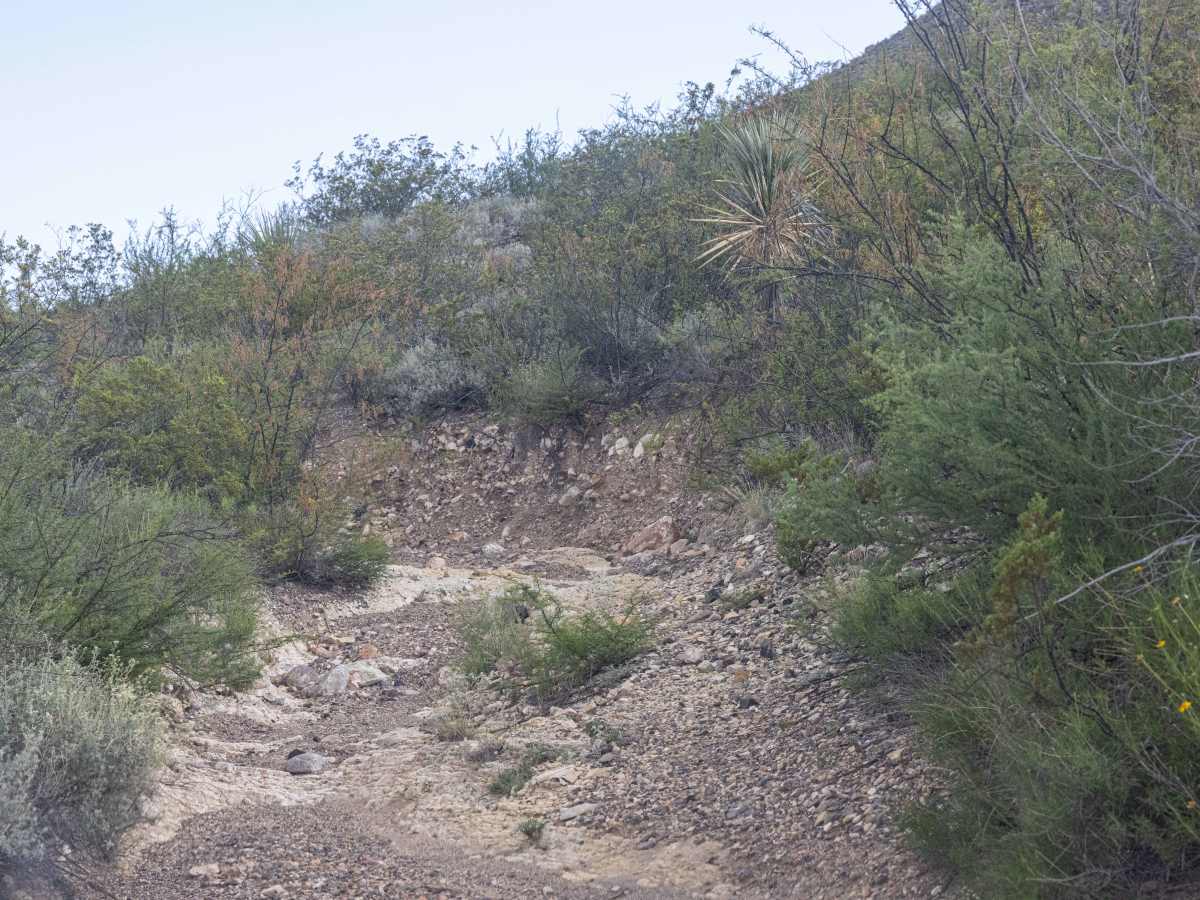 BBRSP Vasquez House Road trail photo