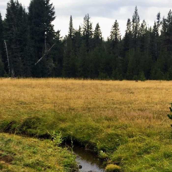 Near Cultus Lake to Pacific Coast Trail Loop