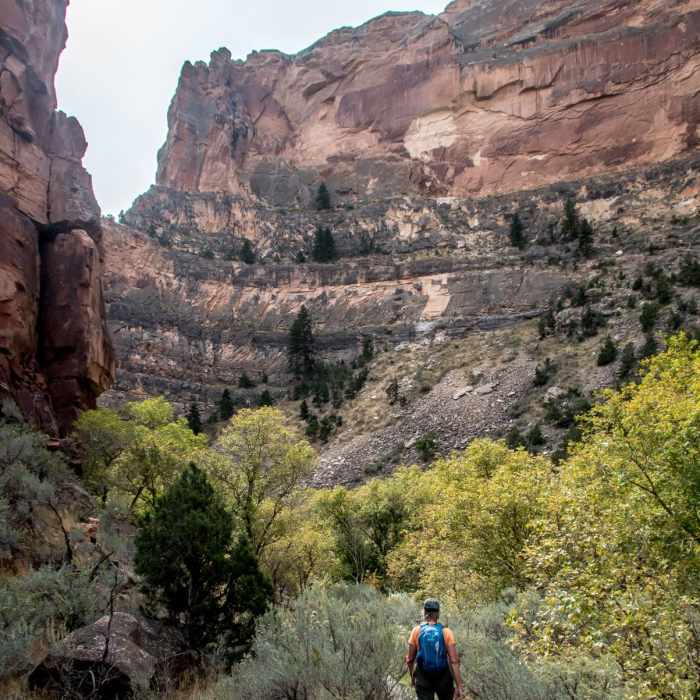 Near Jones Hole Trail