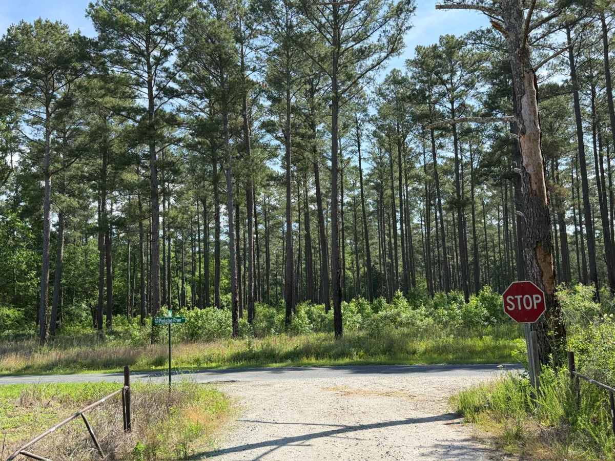 Ross Road trail photo