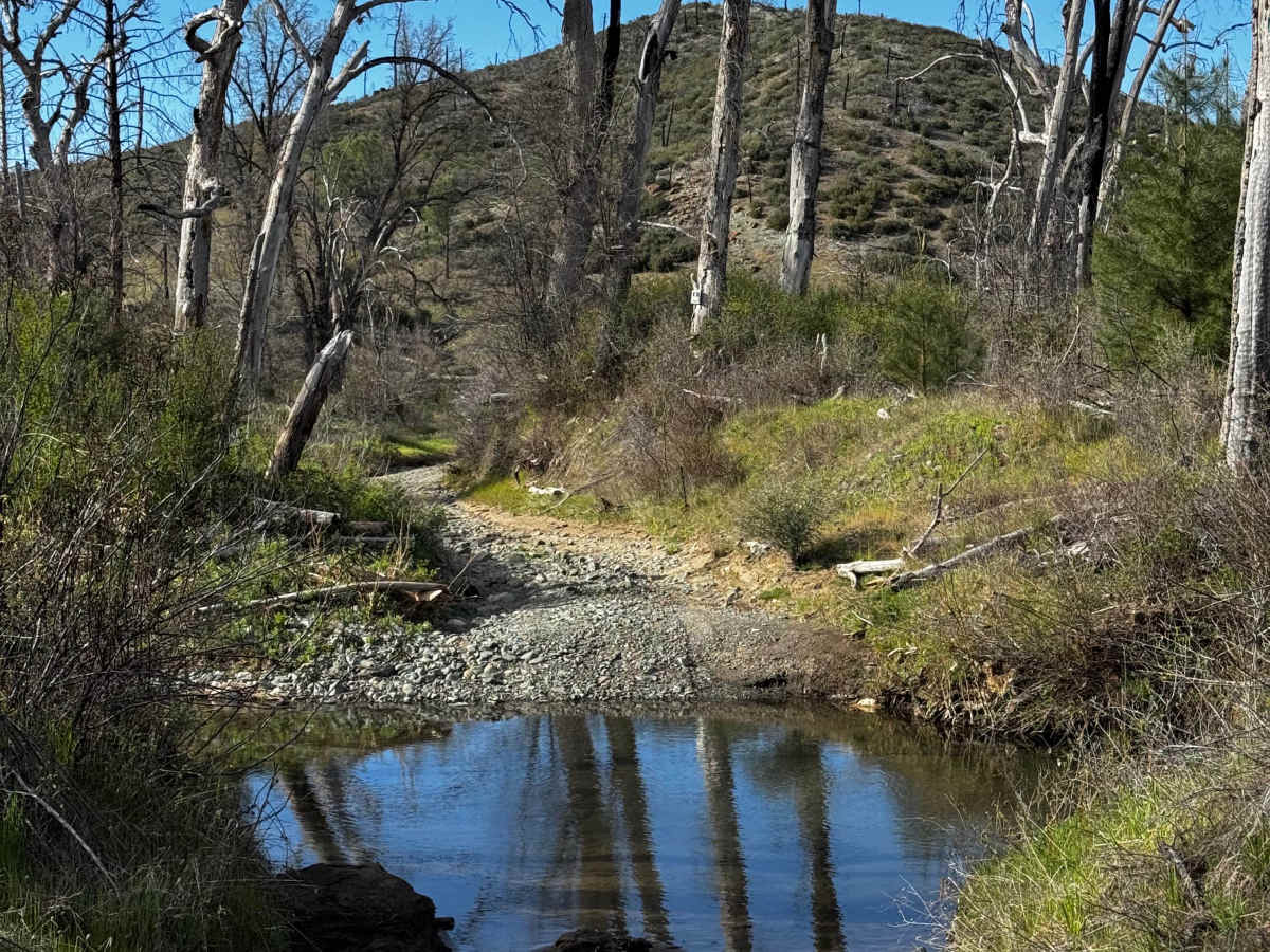 Grouse Springs-Bear Creek Connector photo 6