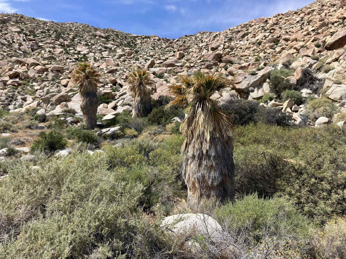 Indian Valley South Fork photo 4
