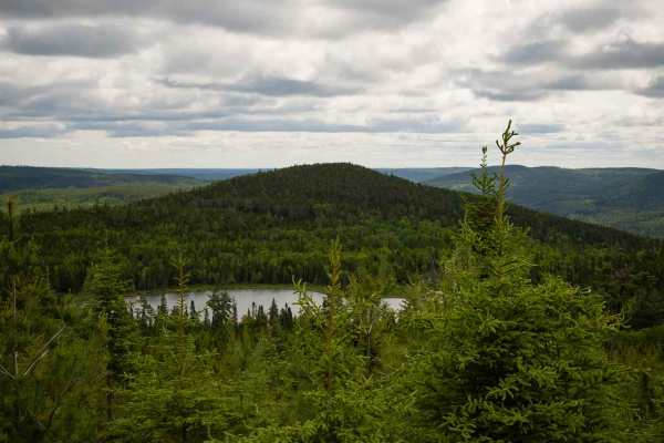 Fogans Lake Overlook Trail