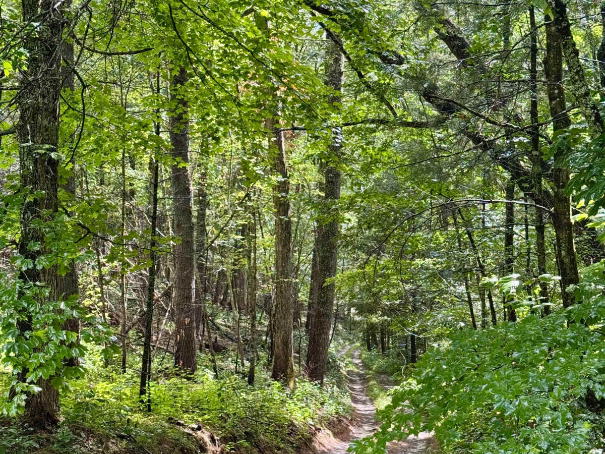 Beaver Creek Road - CR 21 photo 5