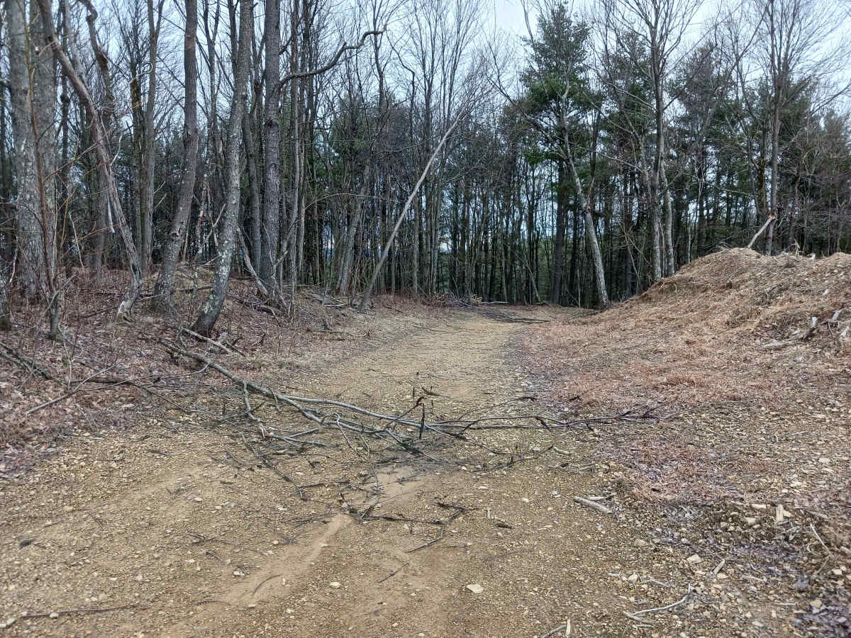 Borrow Pit Path - Rock Run Recreation Area photo 4