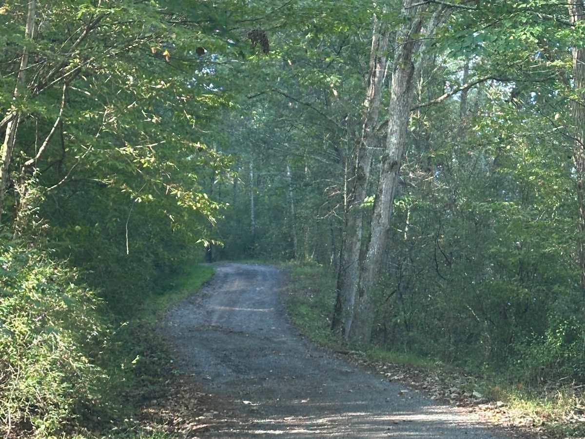 Leatherwood Lodge photo 5