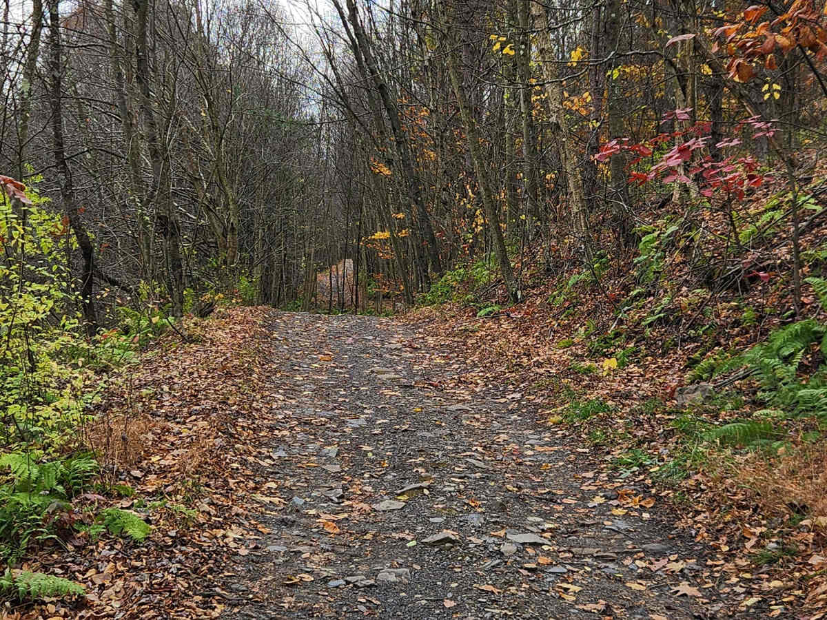 Outer Loop East - Rock Run Recreation Area photo 2