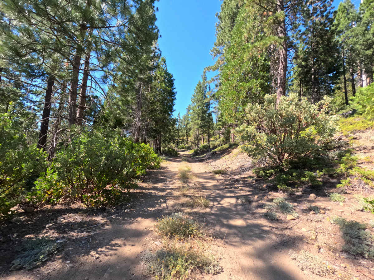 FS 1S89 trail photo