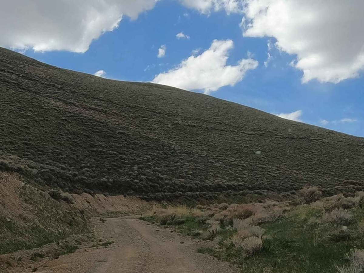 South Fork Birch Creek Road - NF43243 photo 3
