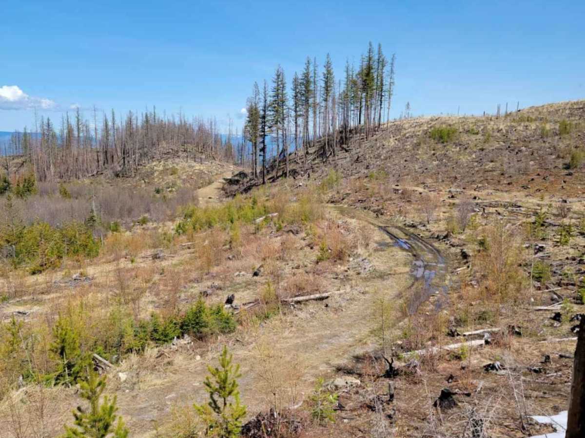 Harris Creek to Summit photo 4