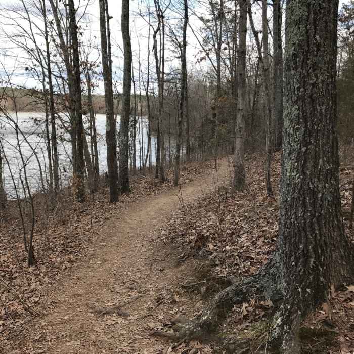 The Lake Trail traverses pleasant forests along a smooth tread. Near Bond Park Lake Loop