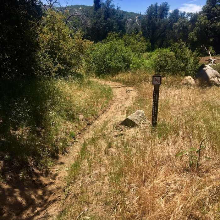 Near Lower Descanso Creek Trail