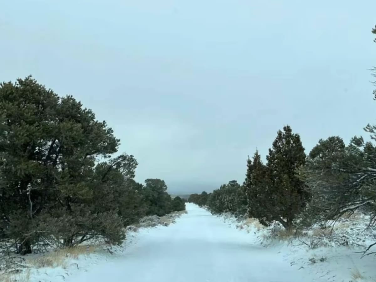 Boulter Trail photo 4