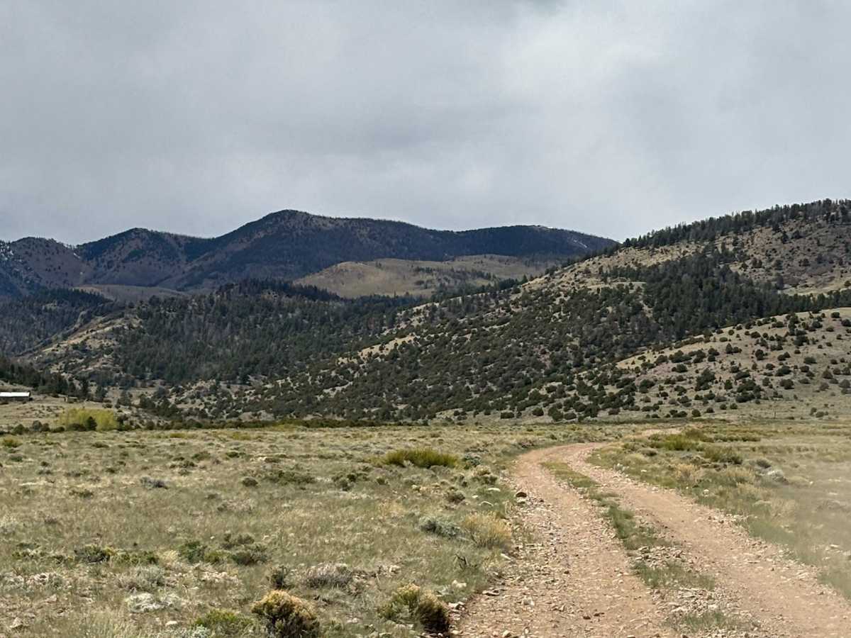 Kelly Creek Road photo 2