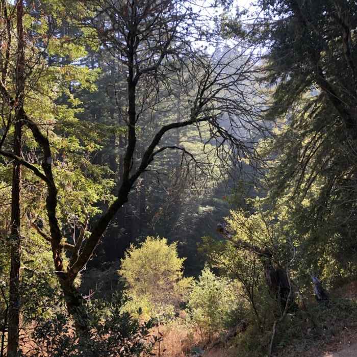 Near Schilling Lake Trail