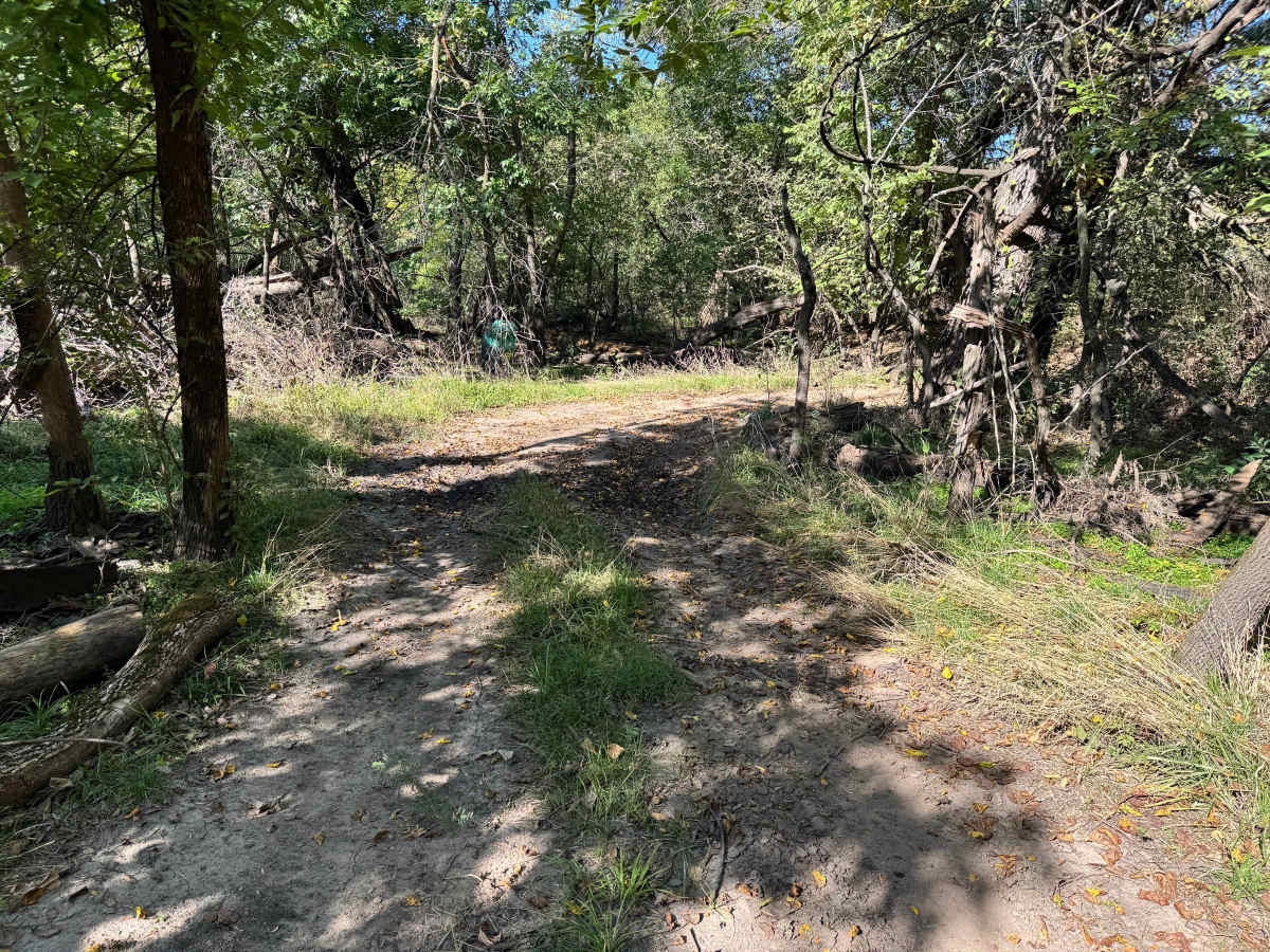 90-Weight trail photo