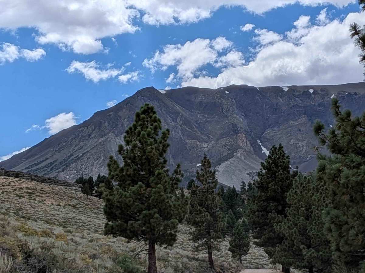 Parker Lake Road - NF1S25 trail photo