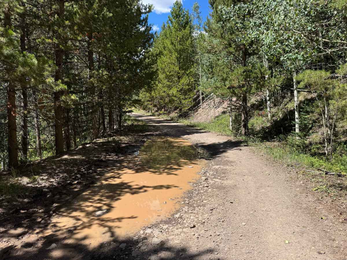 Cliff Lake Road photo 5