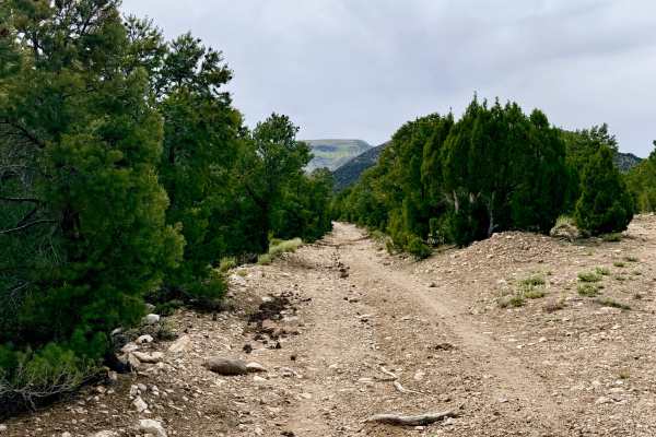 South Danville Creek Road - FS 44426