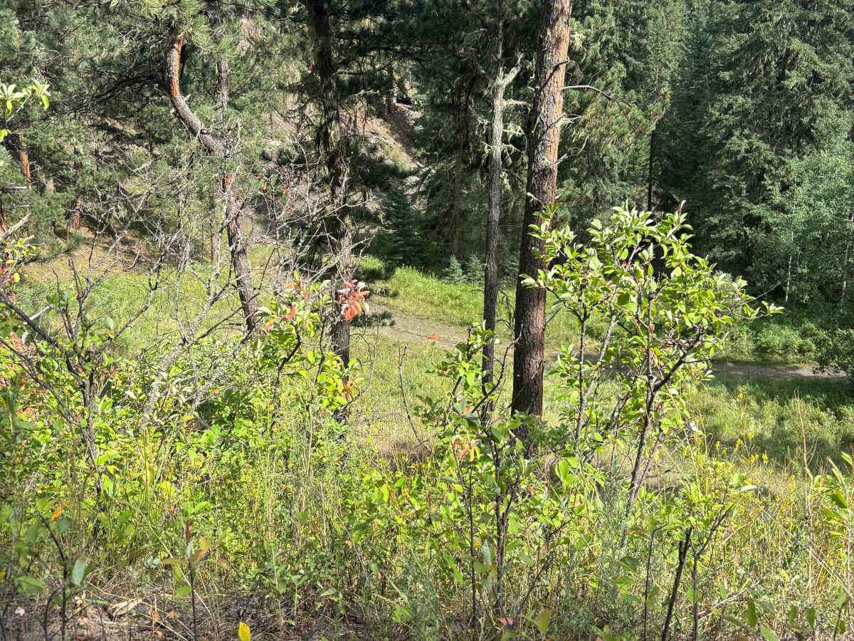 Lind Gulch photo 4