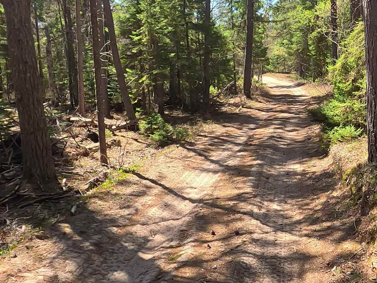 N Doe Lake Road photo 4