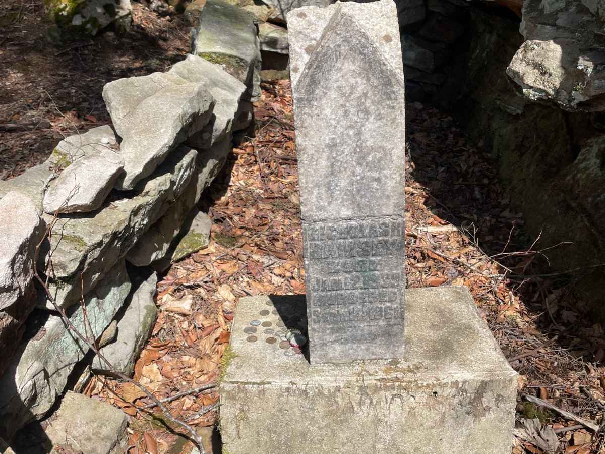 Meadow/Gauley Access Trail photo 2