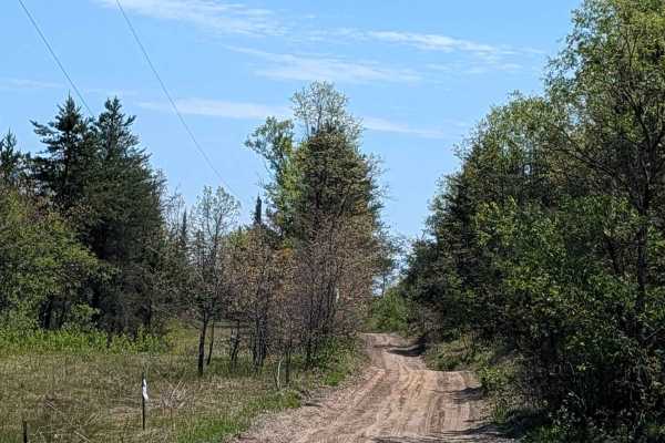 Spencers Trail
