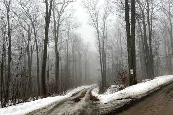 Deer Lick Trail