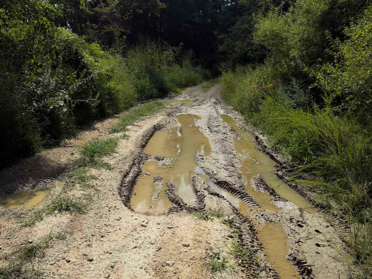 Gibson Knob Road  photo 3