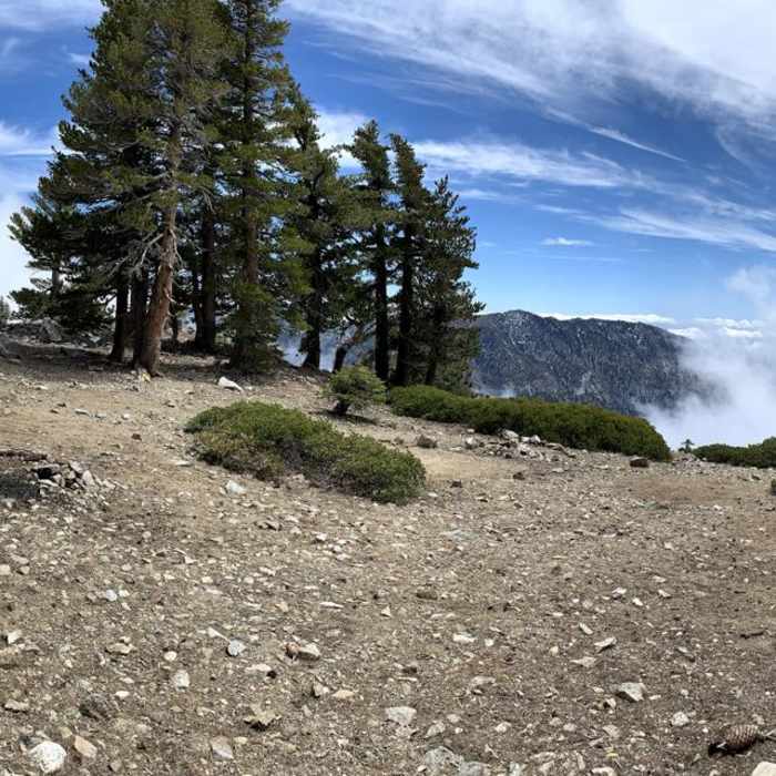 Near West Mount Baldy