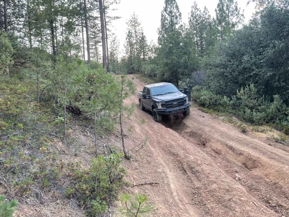 The Rut photo 2