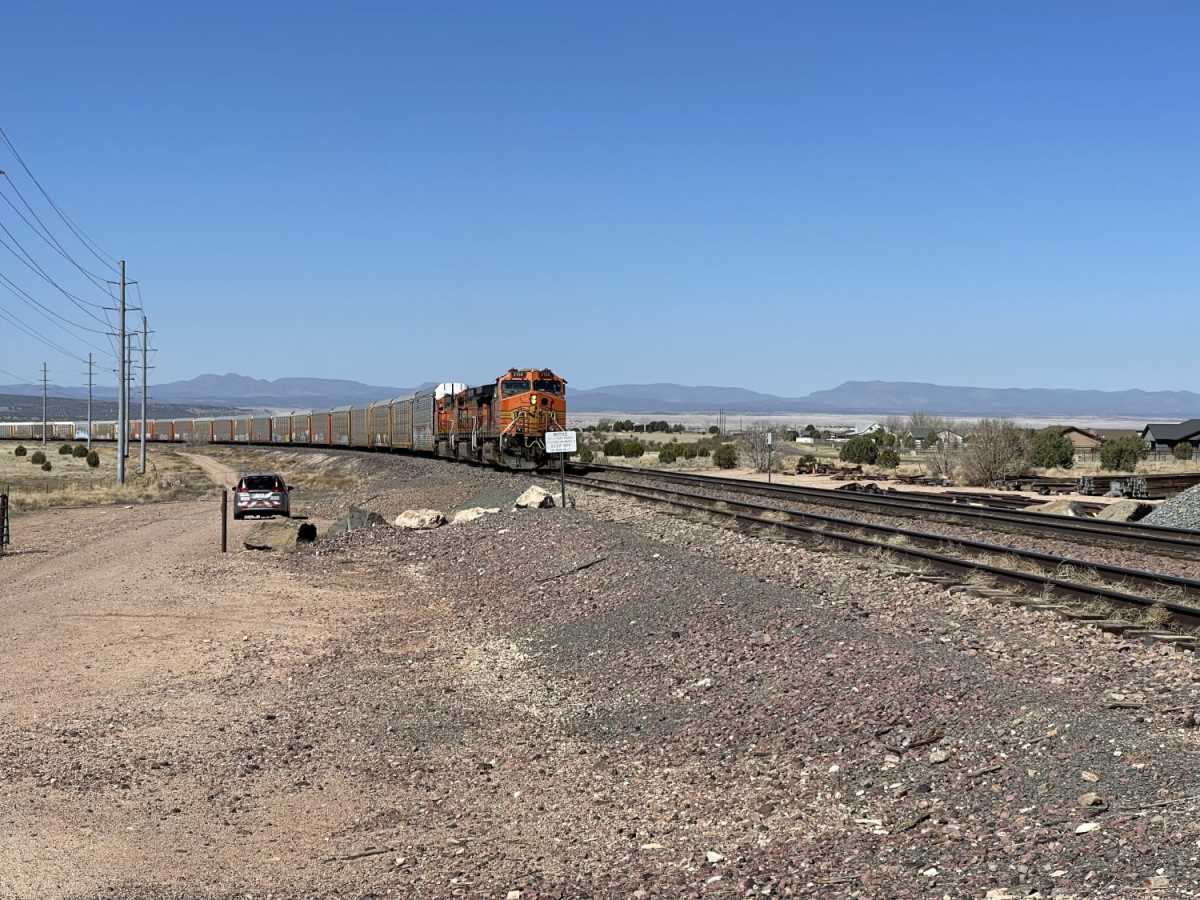 FS 635" The Locked Gate" photo 2