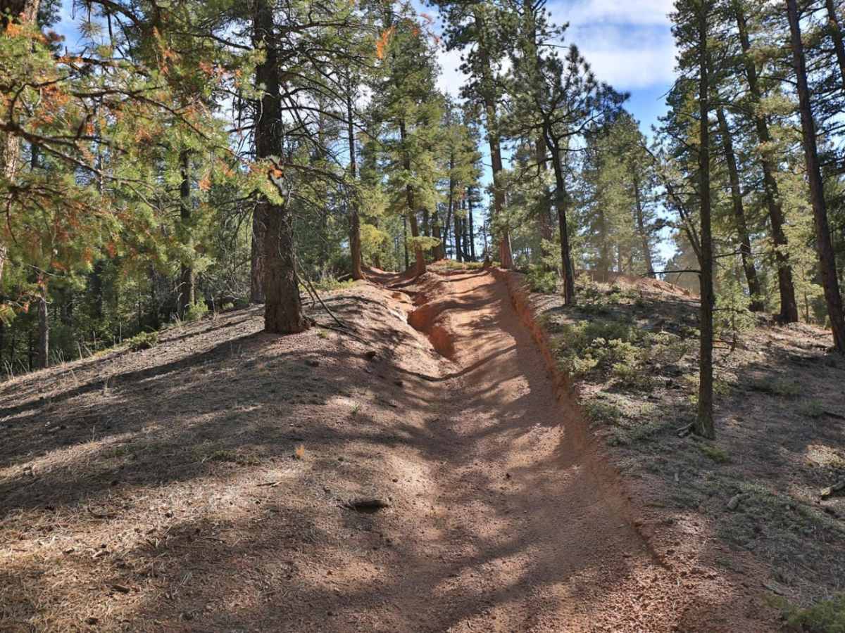 Long Hollow 50-inch Trail (FS 650) photo 6