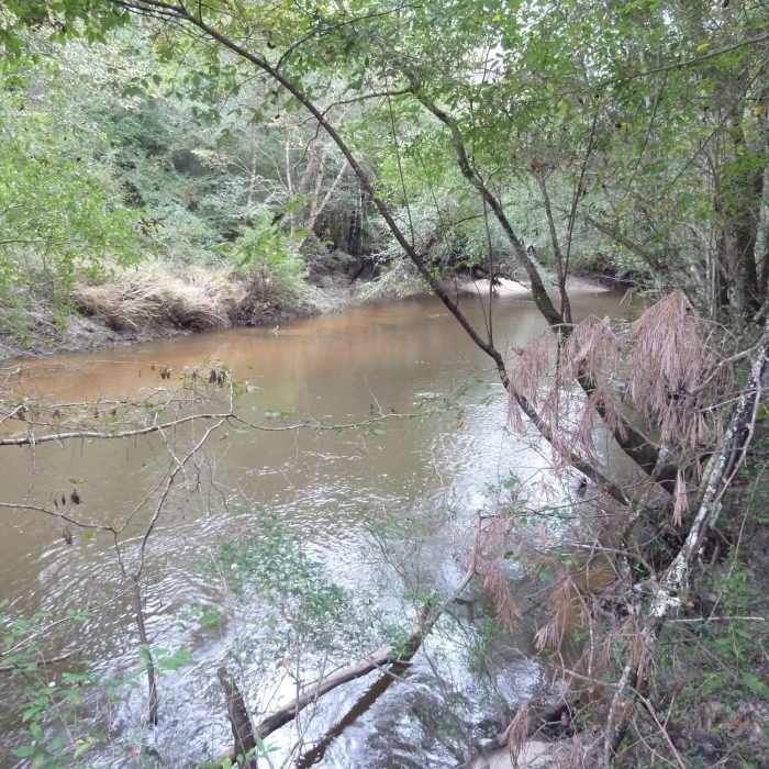 Yellow River Near Blue Spring Loop