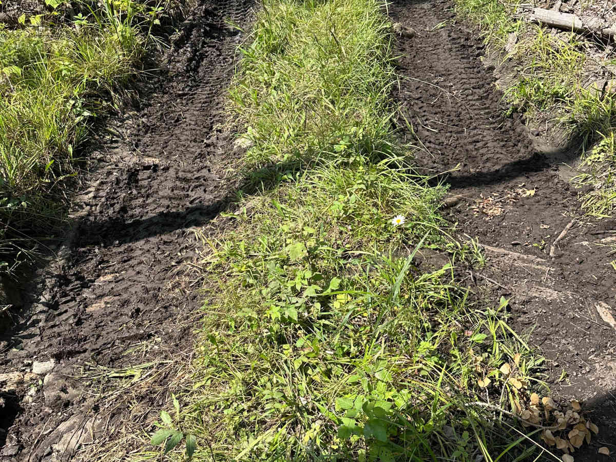 Short Mud photo 2