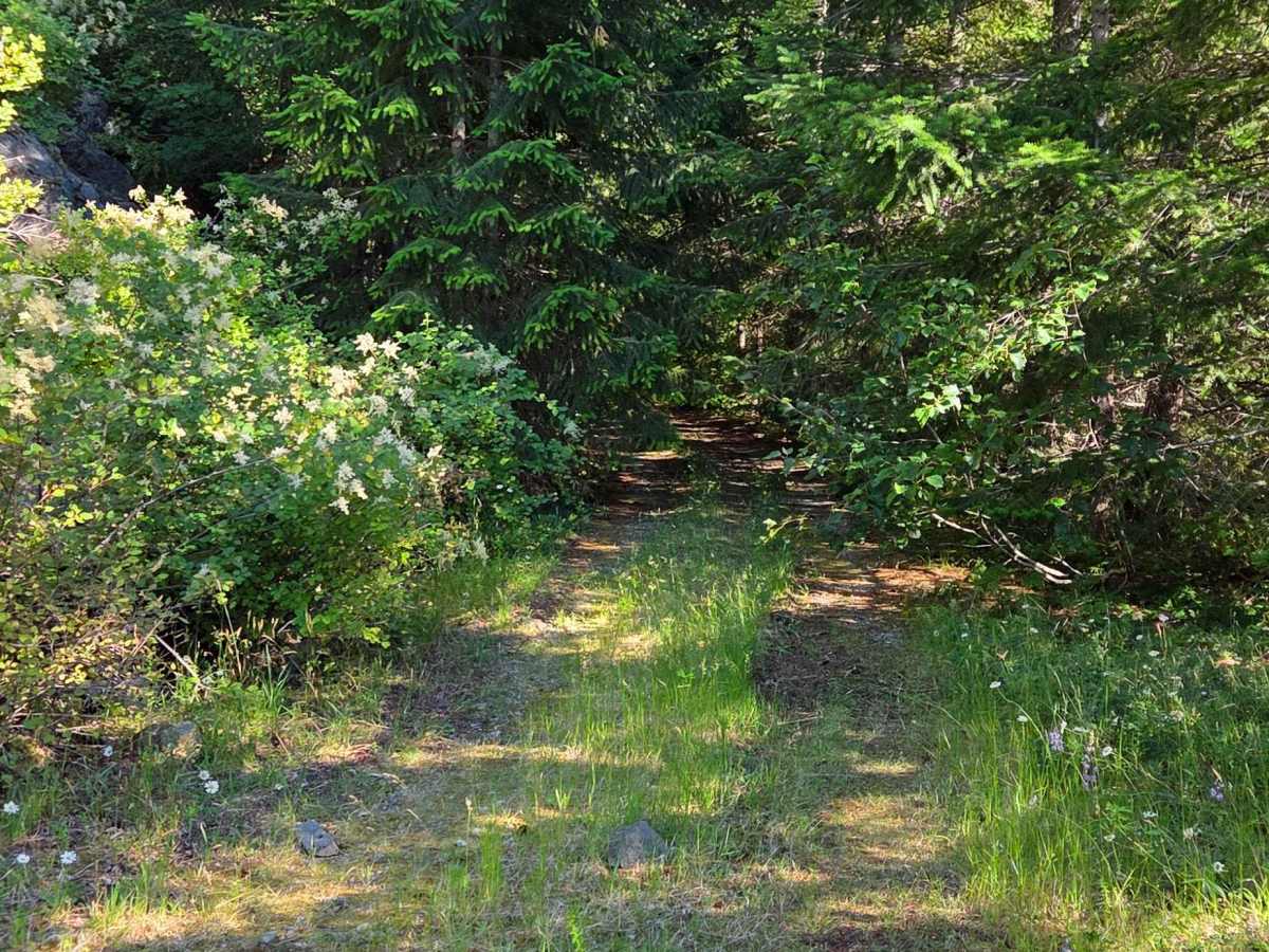 Pelvyer Road trail photo
