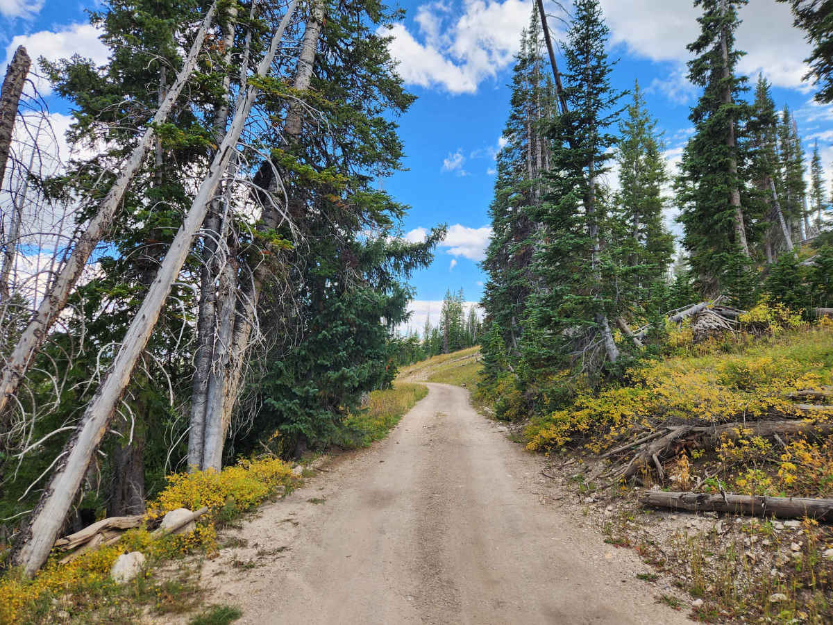 Blue Lake Campground - FS 50013 photo 2