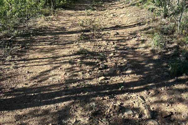 Kinney Creek Road