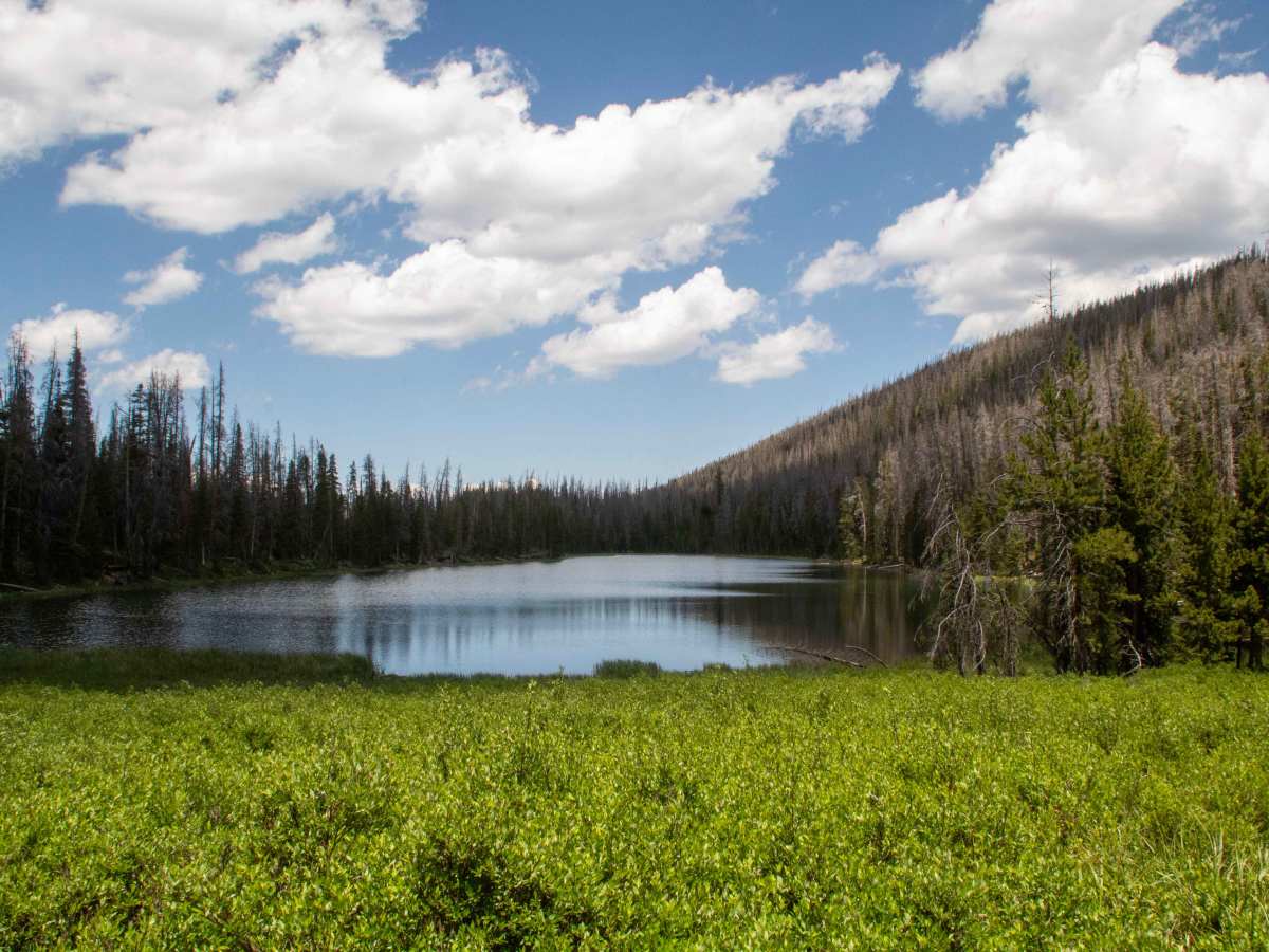 Lym Lake 4x4 photo 3