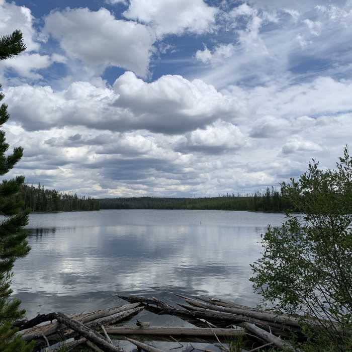 Near Ice Lake Trail (to Howard Eaton Trail)