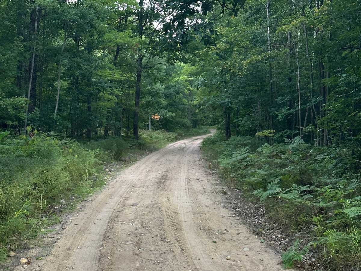 McVety Road photo 3
