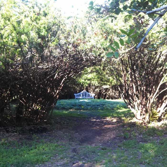 Near Wawapek Preserve