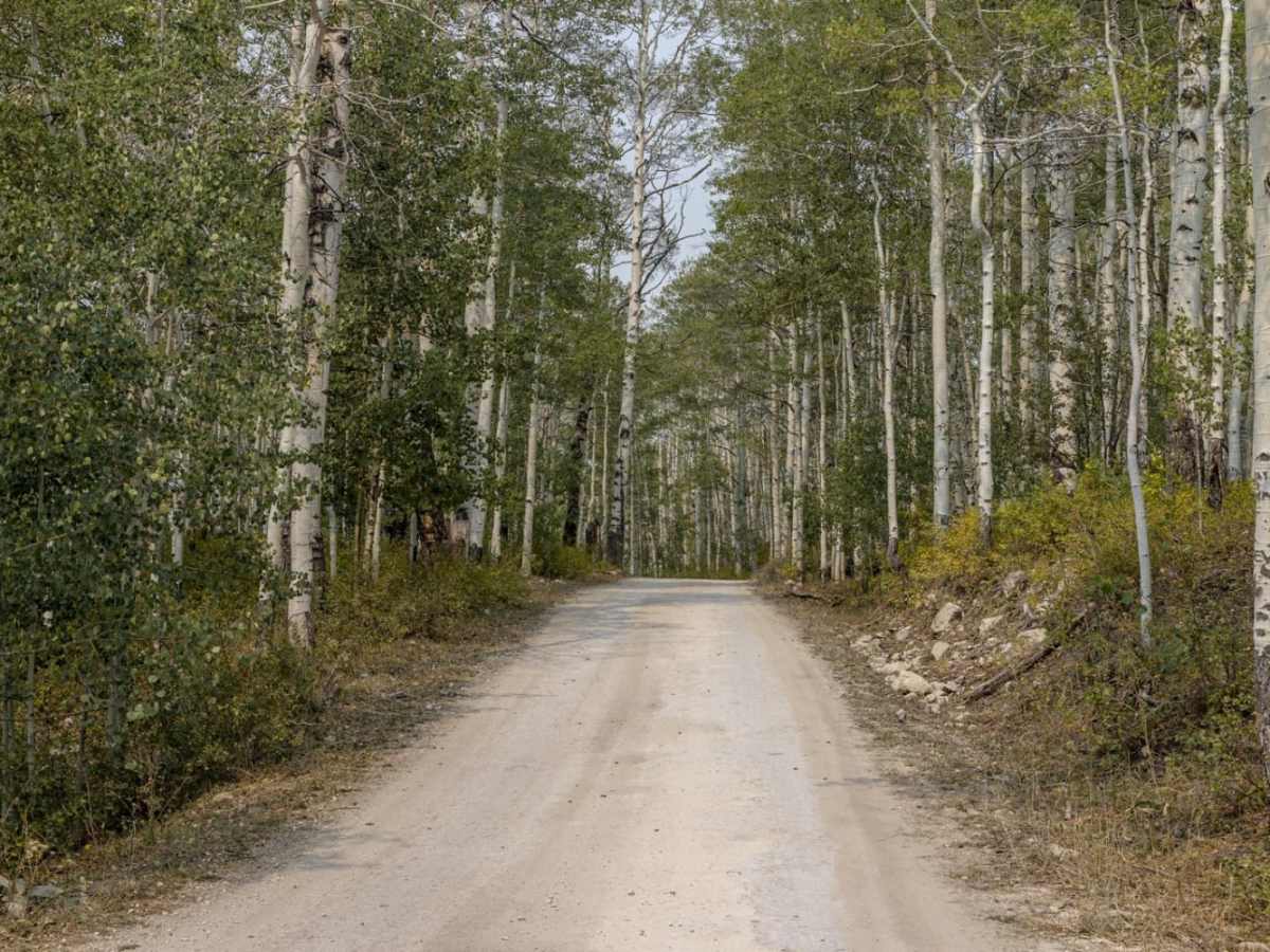 Willow Creek Road photo 6