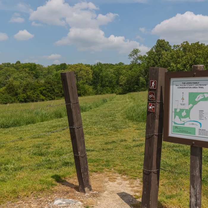Near Lewis Family Memorial Conservation Area Trail