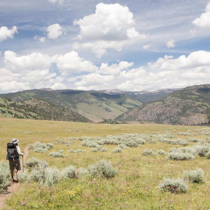 Near Black Canyon of the Yellowstone