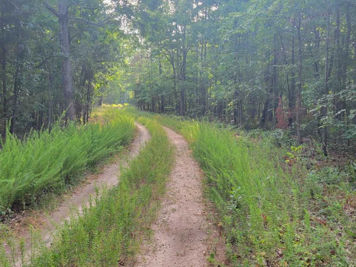 Gooseneck Trail photo 5