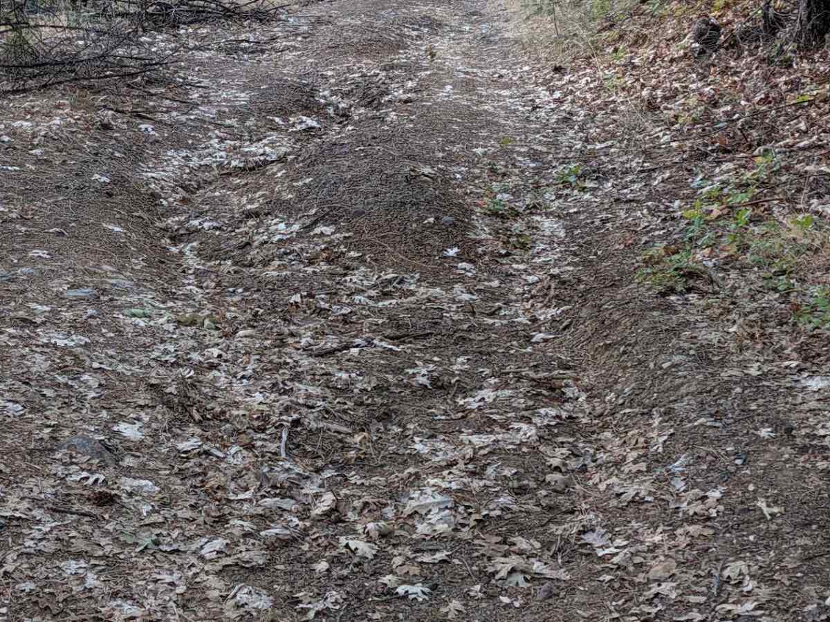 Green Gulch Road - FS 30N74  photo 6