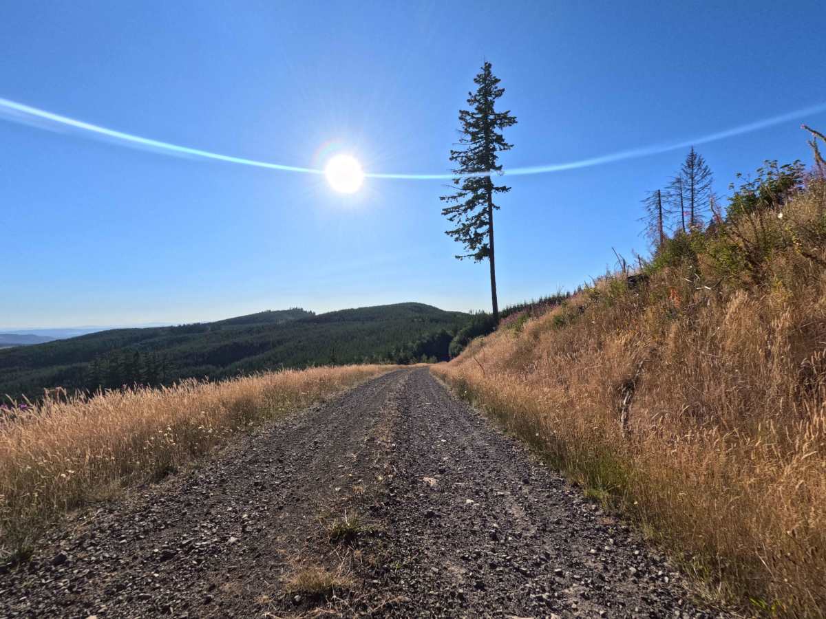 Crazy Man Mountain - W-546 trail photo